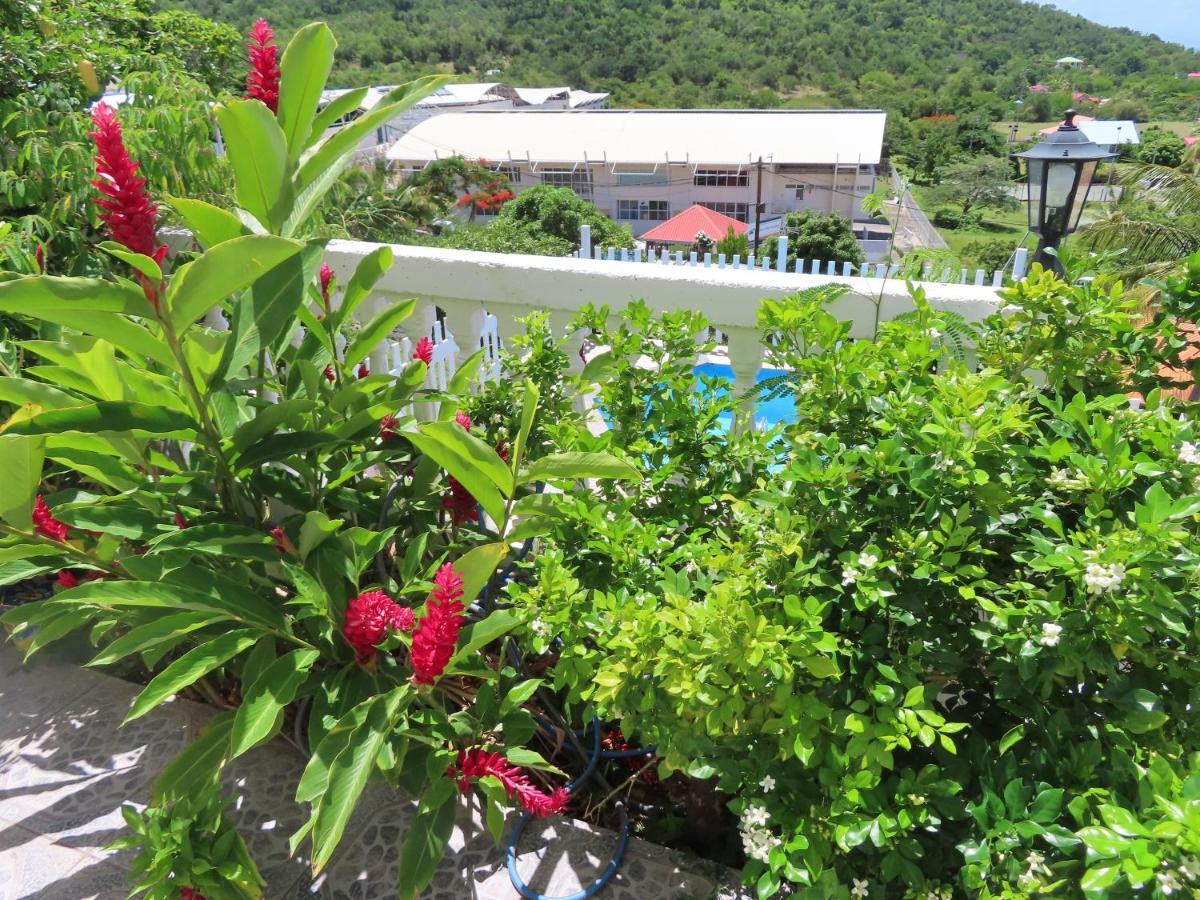 Terre De Bas :L'Ile Merveilleuse Ngoại thất bức ảnh